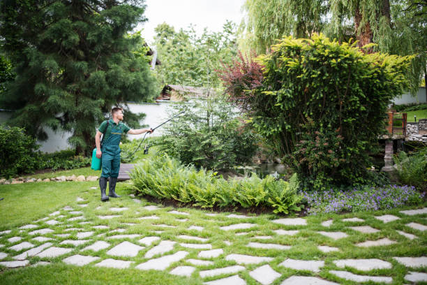 Best Insect Control  in Castle Pines, CO