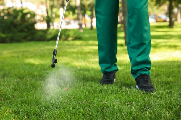 Best Bed Bug Extermination  in Castle Pines, CO
