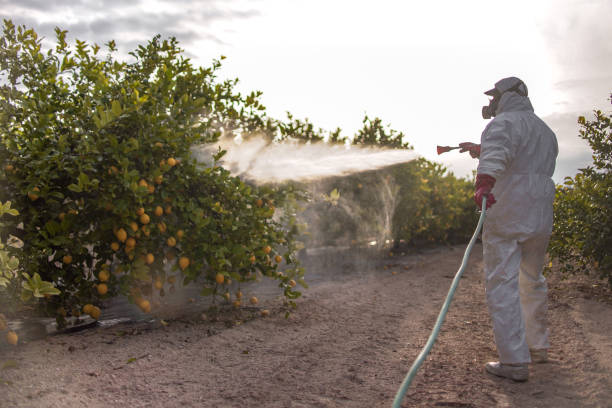 Best Commercial Pest Control Services  in Castle Pines, CO