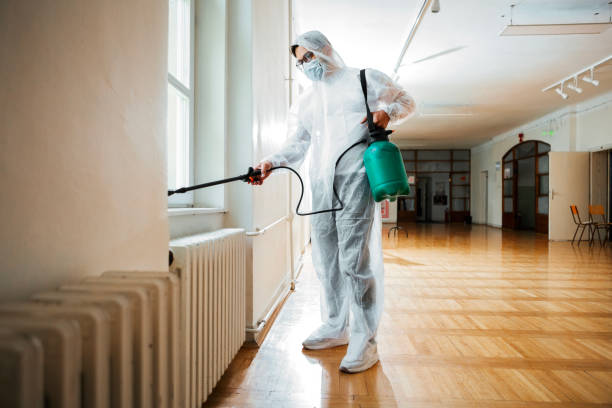 Reliable Castle Pines, CO Pest Control Solutions