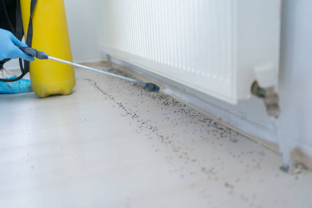 Best Pest Inspection Near Me  in Castle Pines, CO
