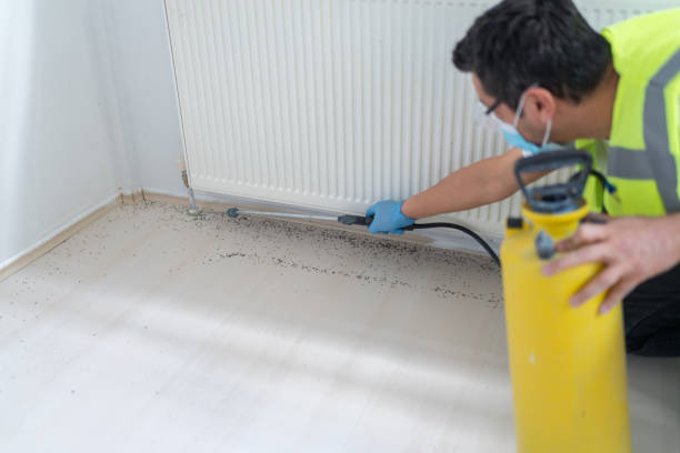 Best Mosquito Control Services  in Castle Pines, CO